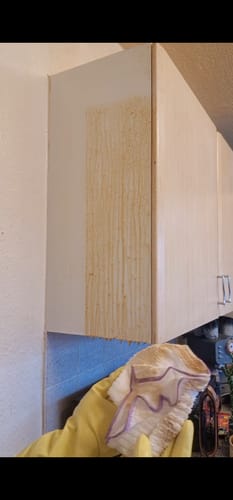 undefined review of Shower and Glass Cleaner image 1 out of 1