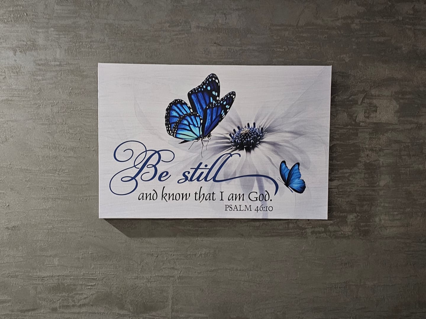 Customer photo review of Butterfly Flower Be Still And Know That I Am God Psalm 46:10 Wall Art Canvas
