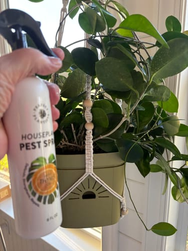 Customer photo review of Houseplant Pest Spray