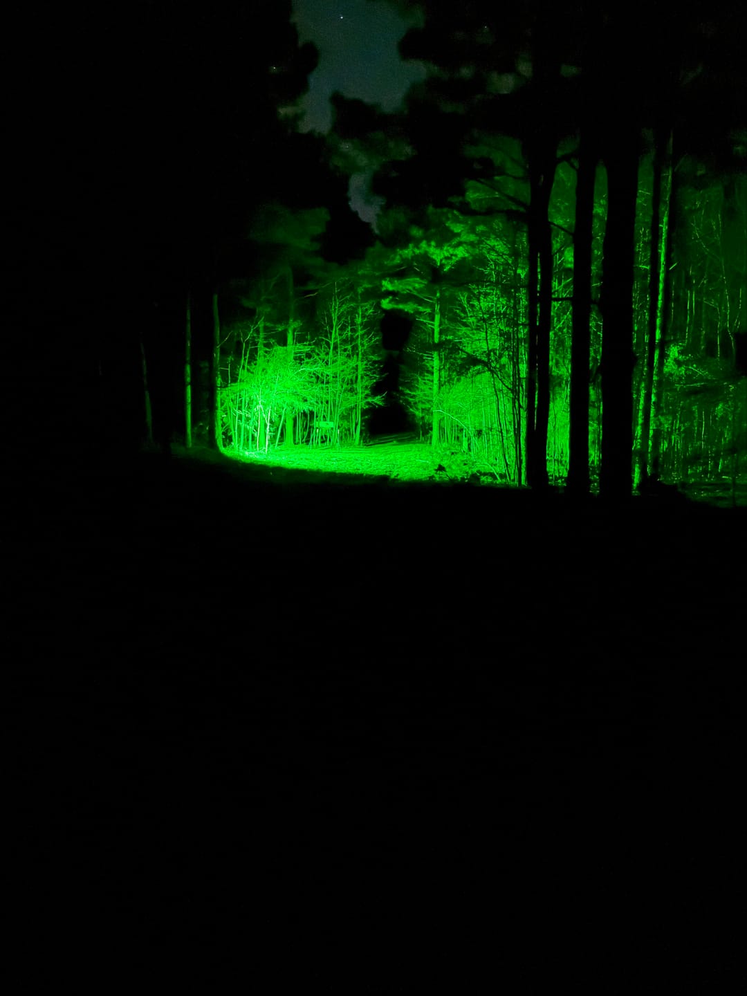 Customer photo review of Solar Green Floodlight for Night Hunting -10,000 lumens