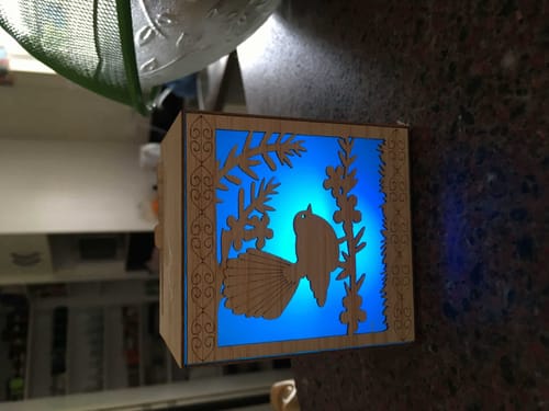Customer photo review of NZ Fantail on Manuka Branch LED Tealight Box
