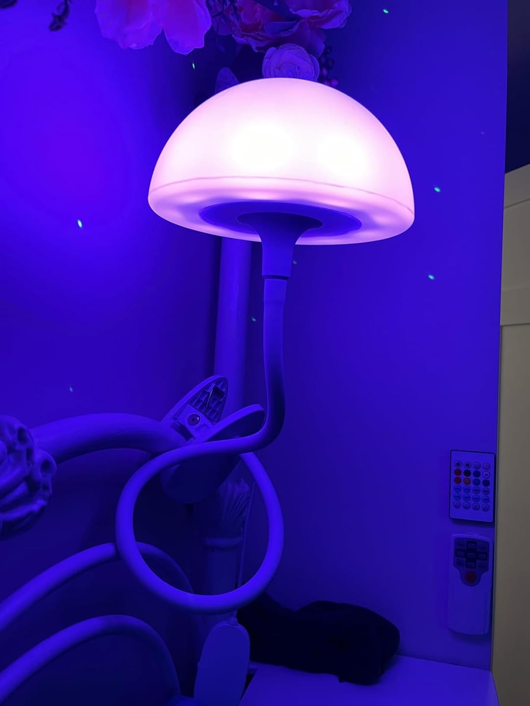 Customer photo review of Shroommate - 3 in 1 Clip On Light and Bedside Table Lamp