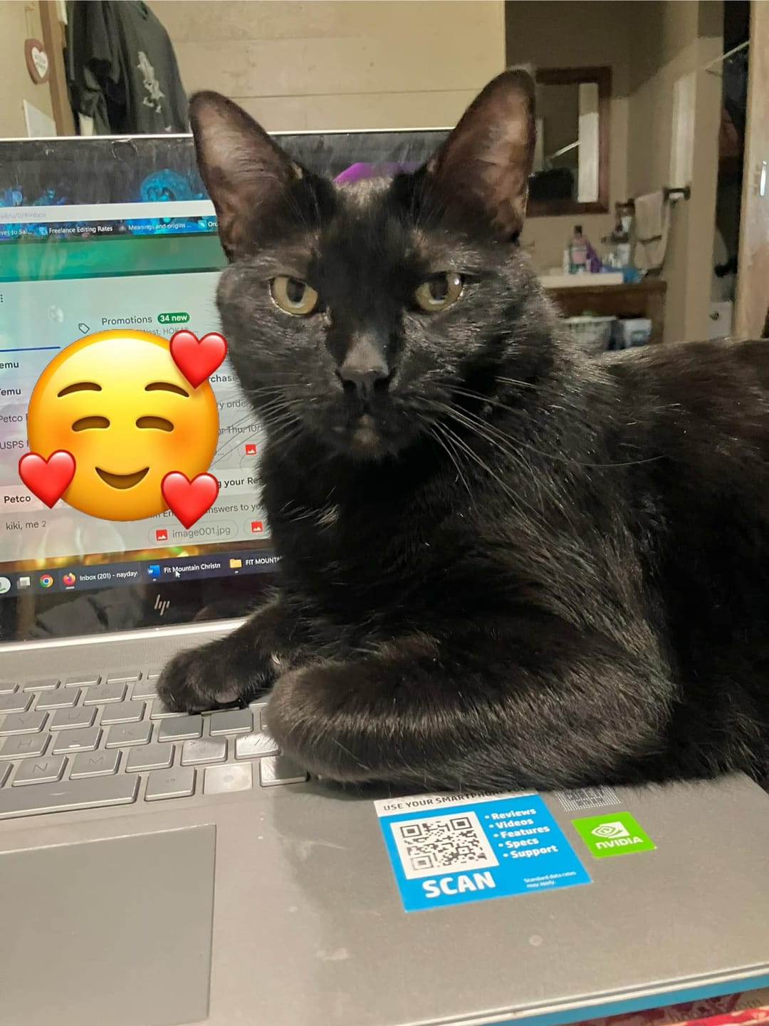 Customer photo review of Cat Laxative & Constipation Remedy