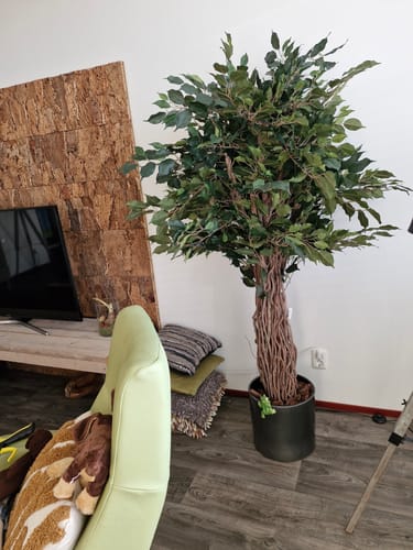 Customer photo review of Ficus Liana Kunstplant 180cm