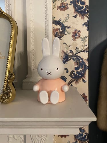 Customer photo review of Miffy Figure Wireless Speaker
