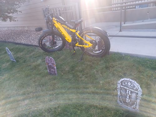 Customer photo review of T7/T7 pro Electric Bike 48V/52 20Ah Removable Samsung Li-ion Battery