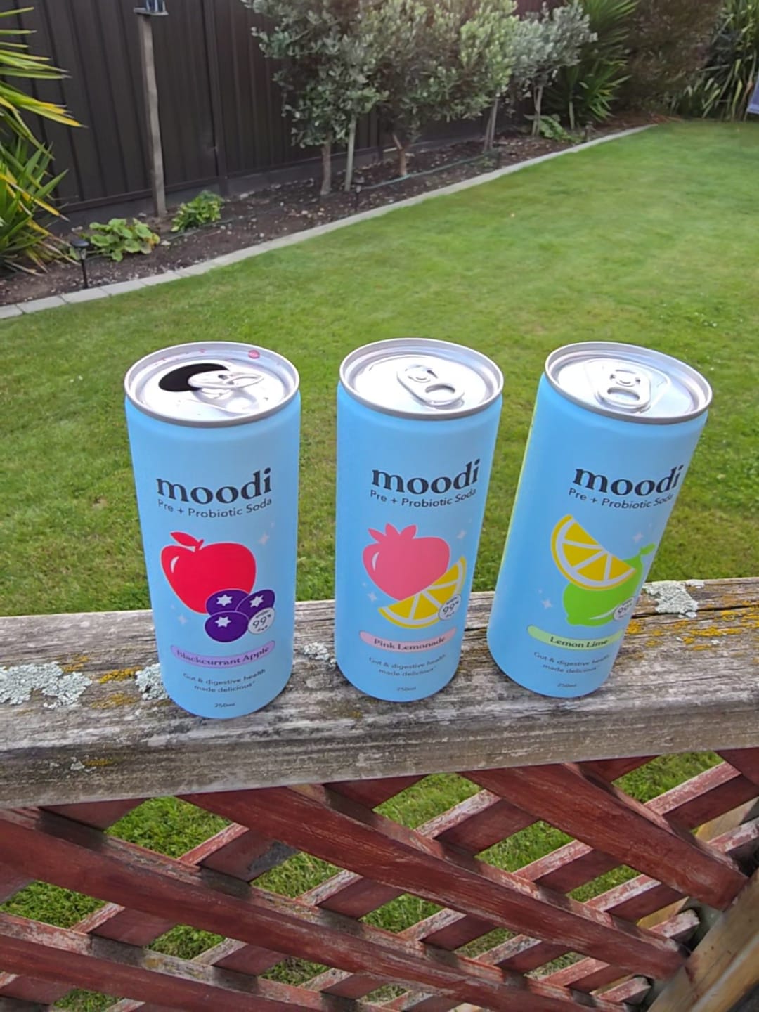 Customer photo review of Pre + Probiotic Soda