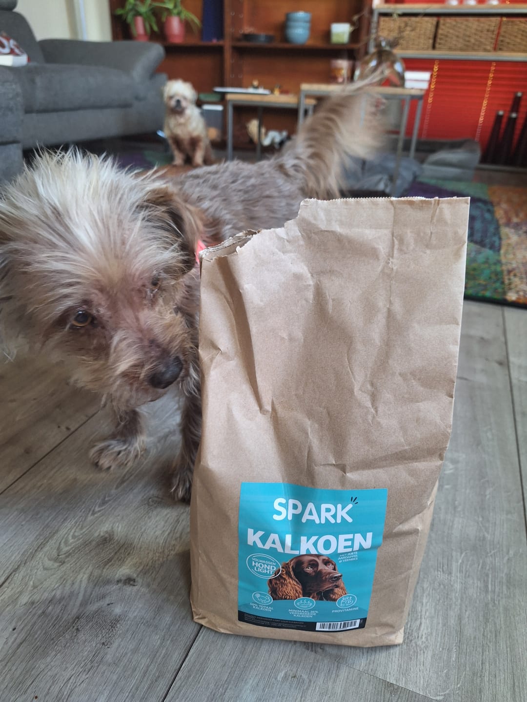 Customer photo review of Senior - Light - Kalkoen met Zoete Aardappel & Veenbes