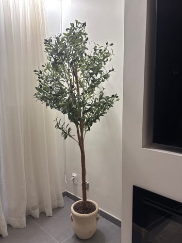 Customer photo review of Kunst Olijfboom 180cm