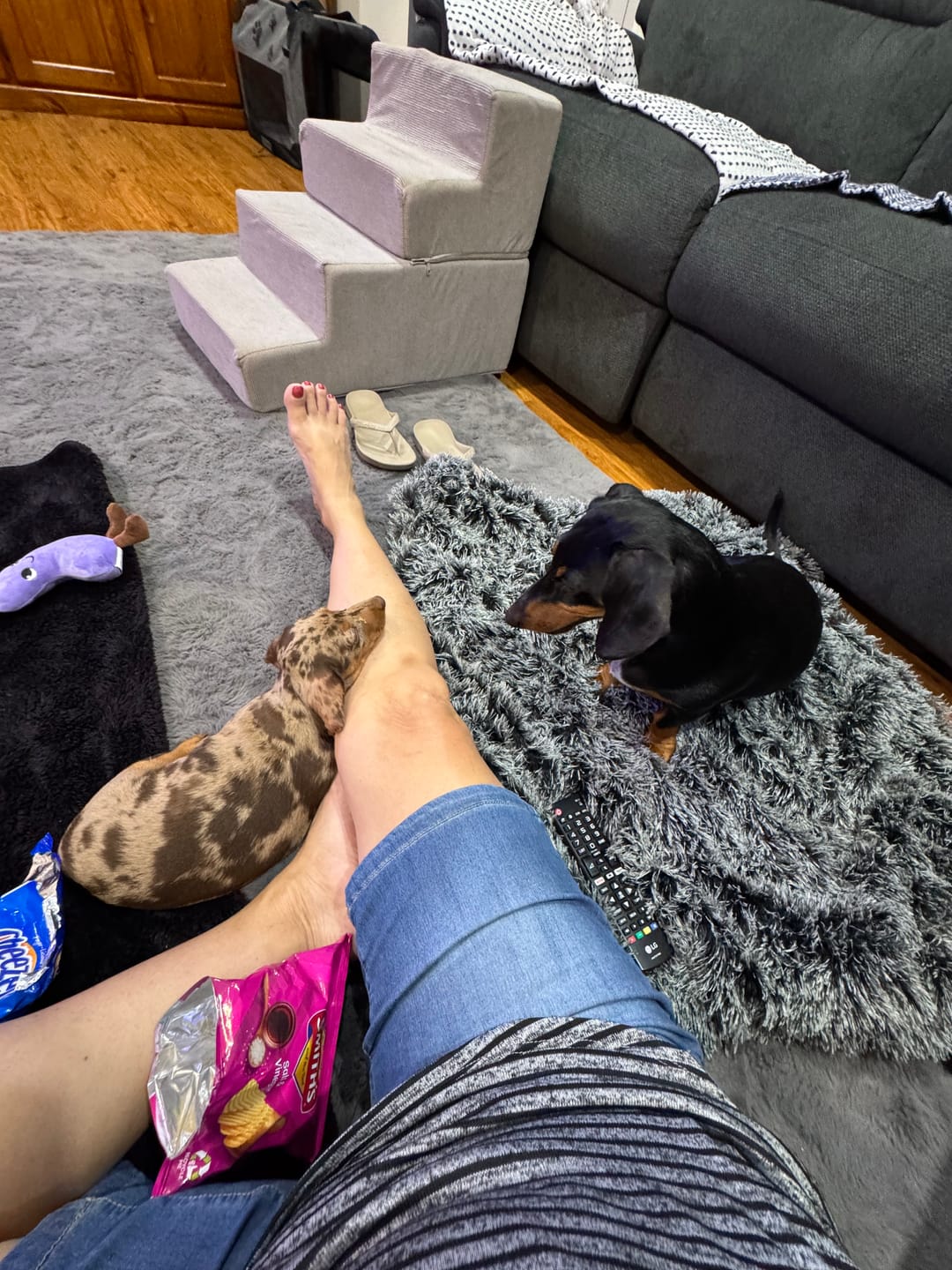 Customer photo review of PaWz Pet Calming Blanket