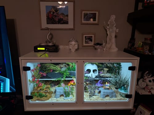 Customer photo review of XT3 36Lx18Dx18H - STACKABLE