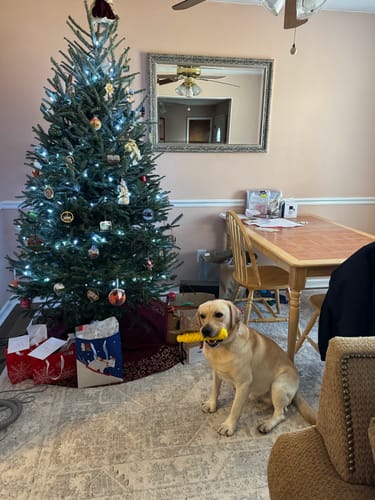 Customer photo review of Daily Multi