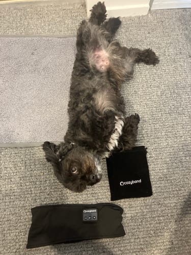 Customer photo review of CozyBand Wireless Headphones
