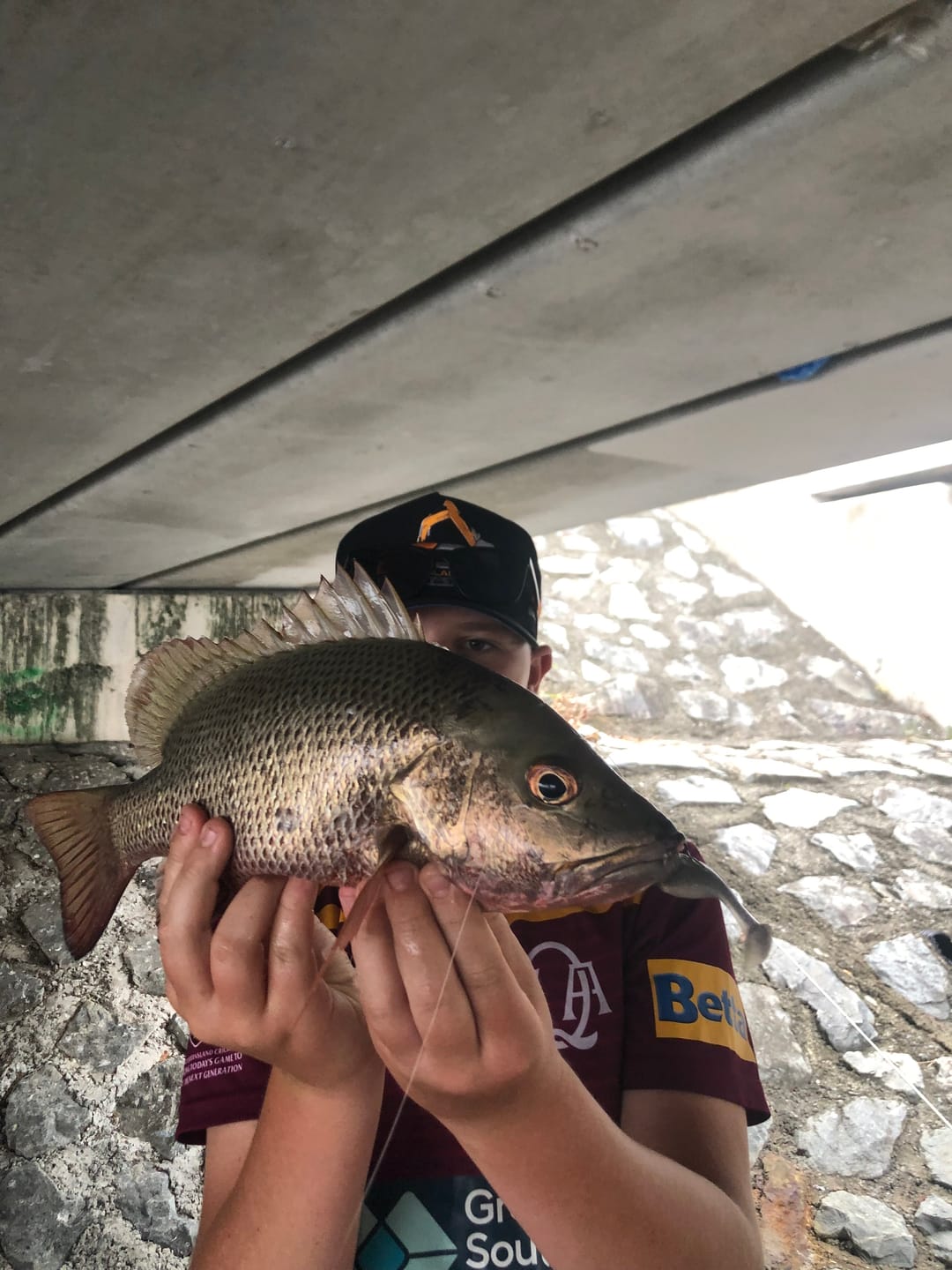 Customer photo review of DEATH SHAD