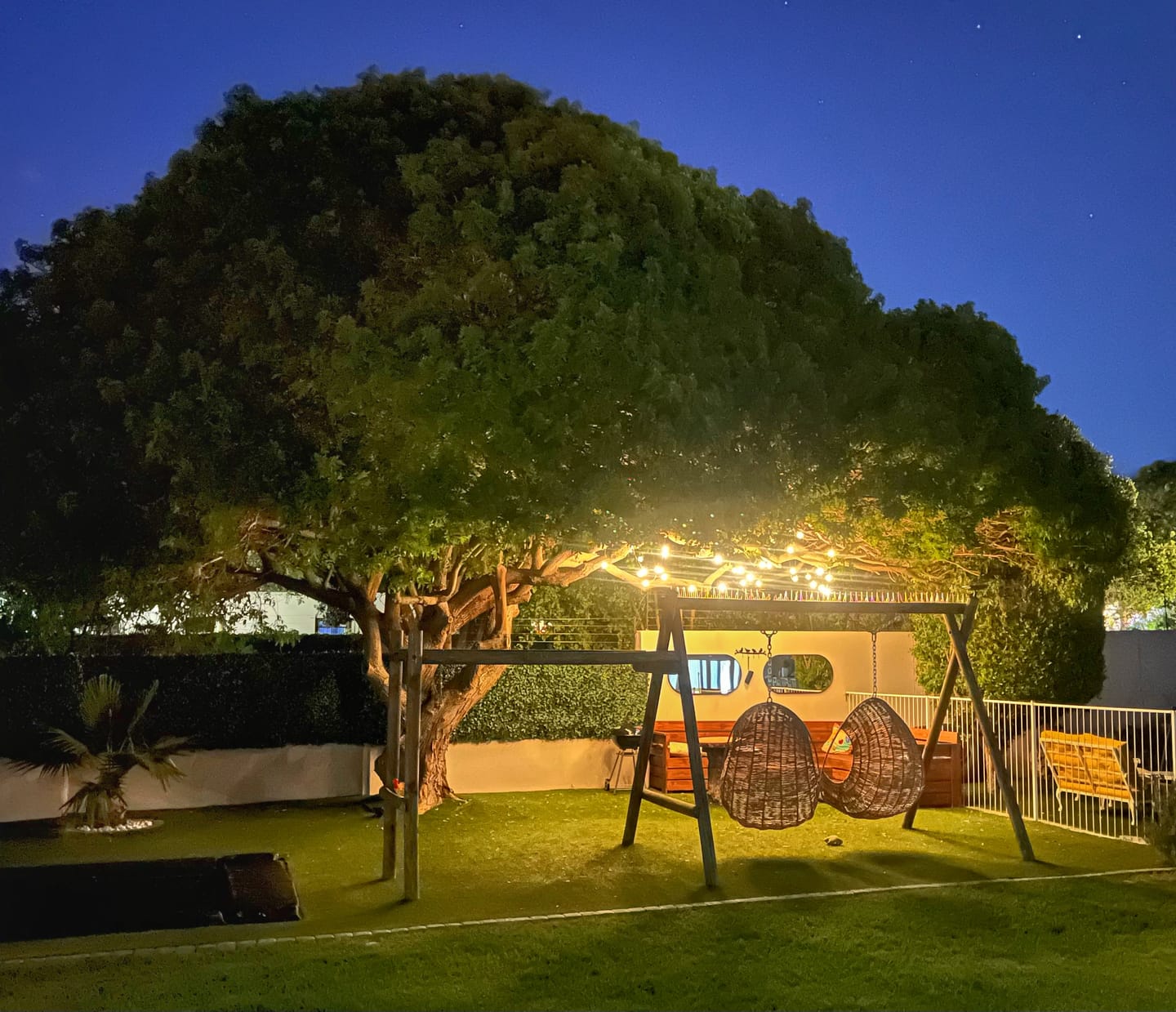 Customer photo review of Solar Mini Bulb String Lights - Black