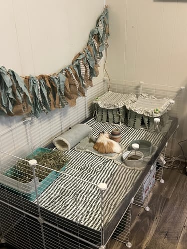 Customer photo review of 4x2 C&C Cage with Stand