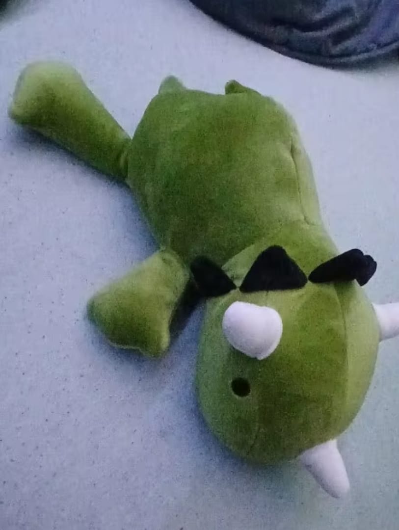 Customer photo review of Verzwaarde Dinosaurus Knuffel  - CuddleSaurus