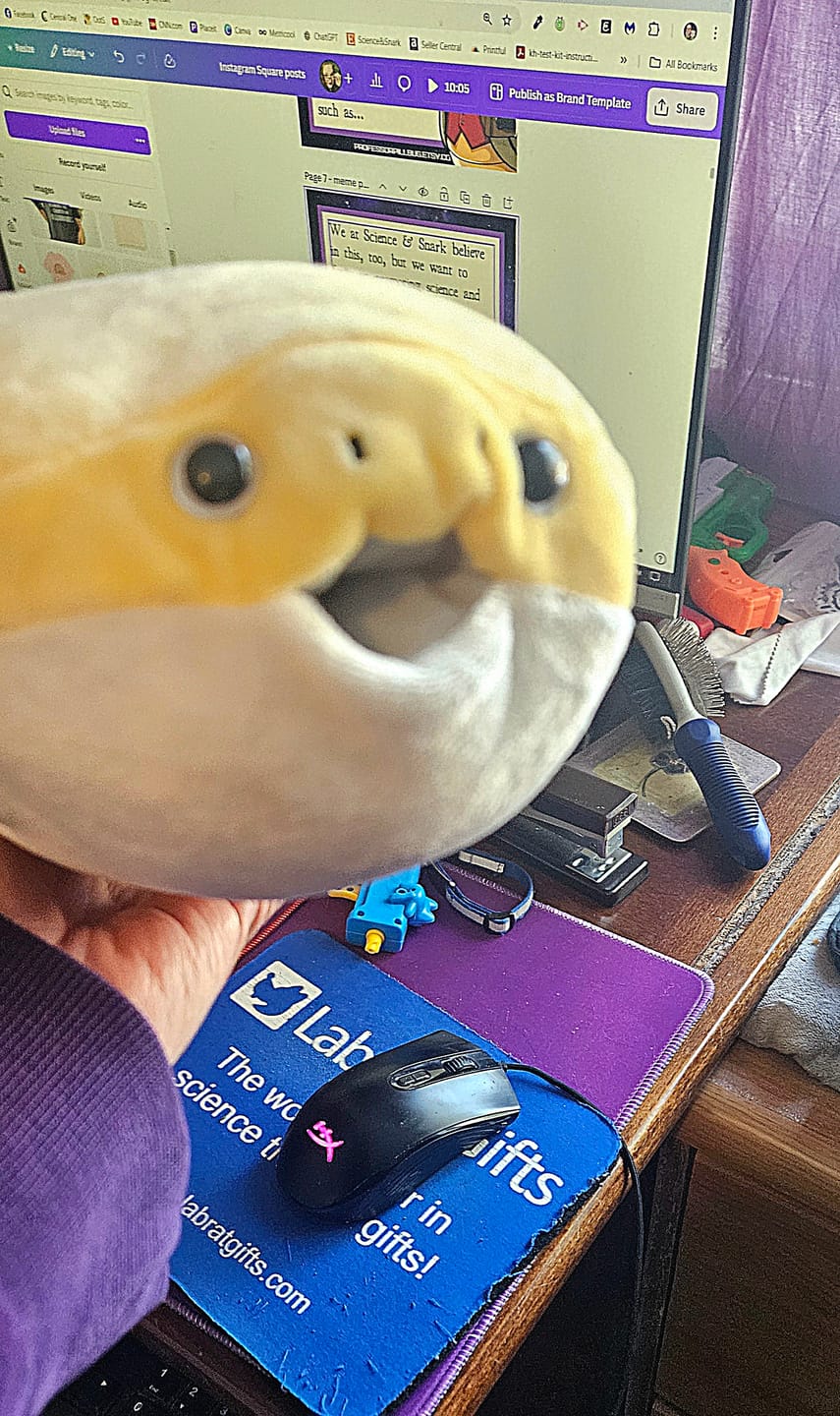 Customer photo review of Sacabambaspis Prehistoric Fish Soft Stuffed Plush Toy