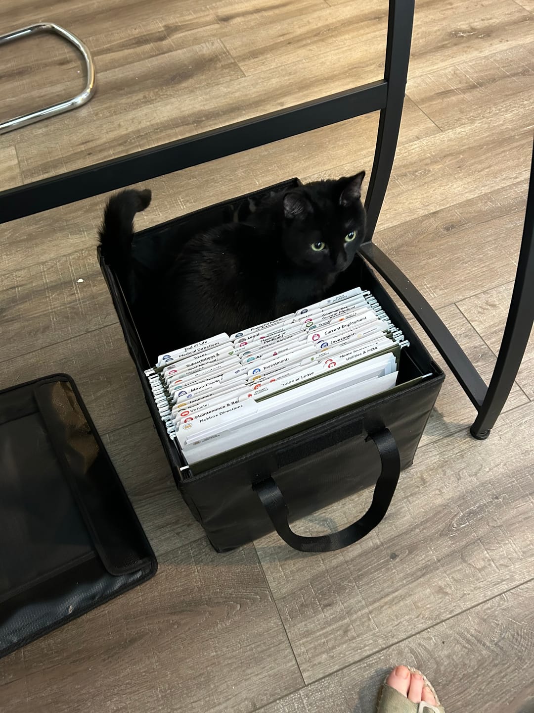 Customer photo review of Nokbox™ Fireproof