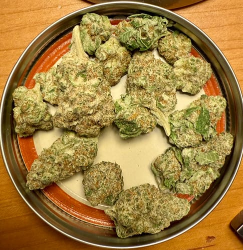 Customer photo review of Sugar Cone