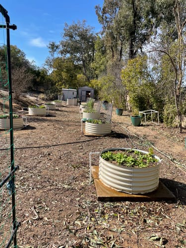 Customer photo review of Round Short Metal Raised Garden Bed
