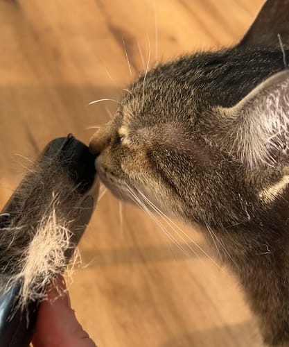 Customer photo review of Fellwunder-Bürste - Der Bestseller