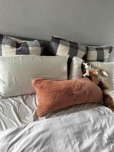 Customer photo review of Atelier Medica Organic Silk Pillowcase