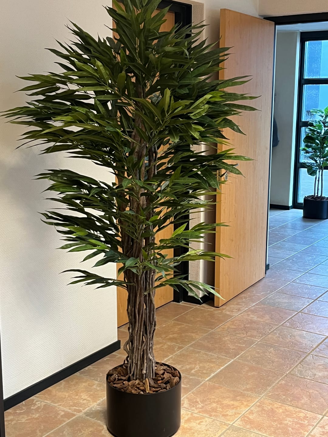 Customer photo review of Longifolia Kunstplant 180cm