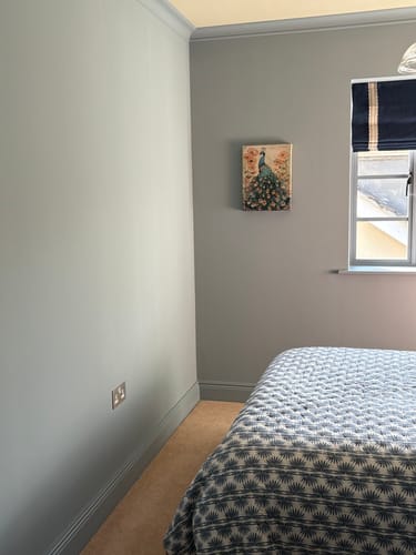 Customer photo review of Vintage Peacock No2 Print