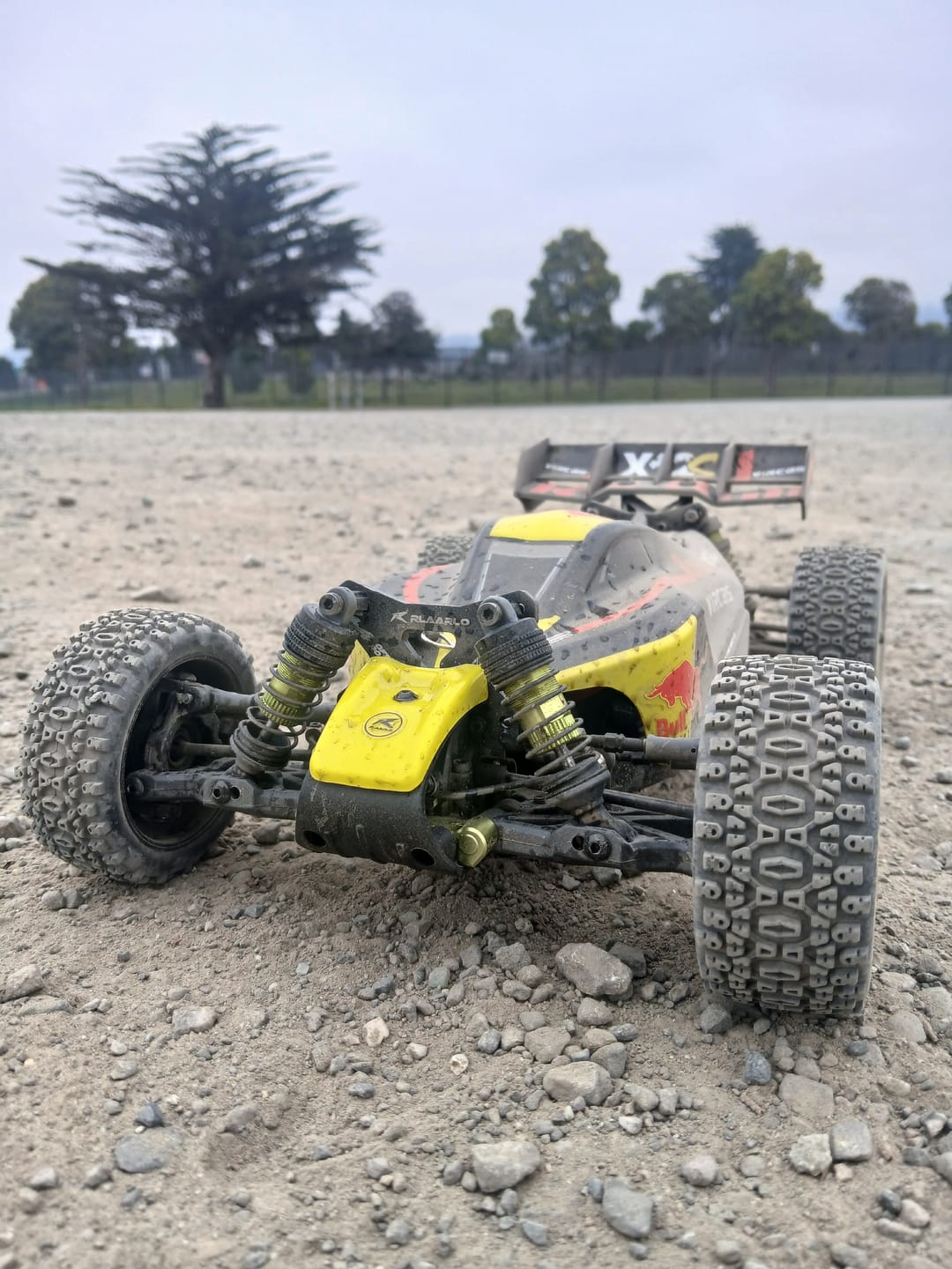 Customer photo review of Vehicle Tail Wing For X12S Buggy
