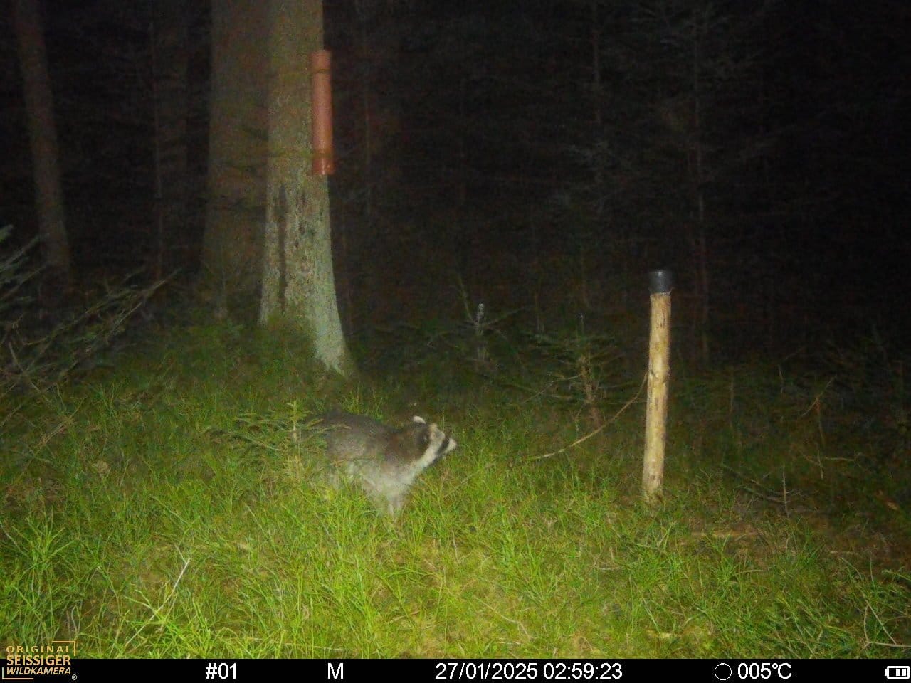 Customer photo review of Fisch Lockmittel - Schwarzwild und Raubwild