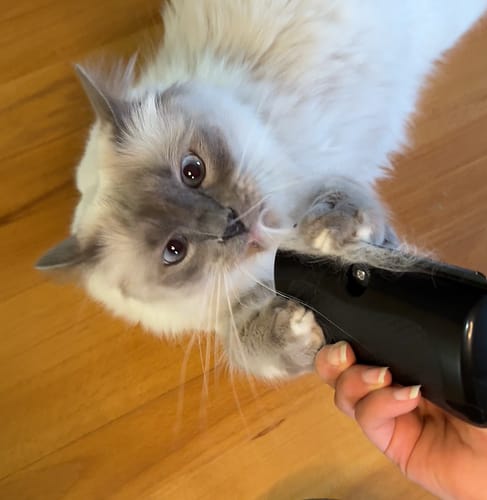 Customer photo review of Fellwunder-Bürste - Der Bestseller