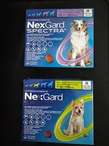 Customer photo review of Nexgard Spectra® 3 masticables