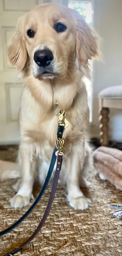 Customer photo review of Obsidian - Classic Biothane Dog Leash