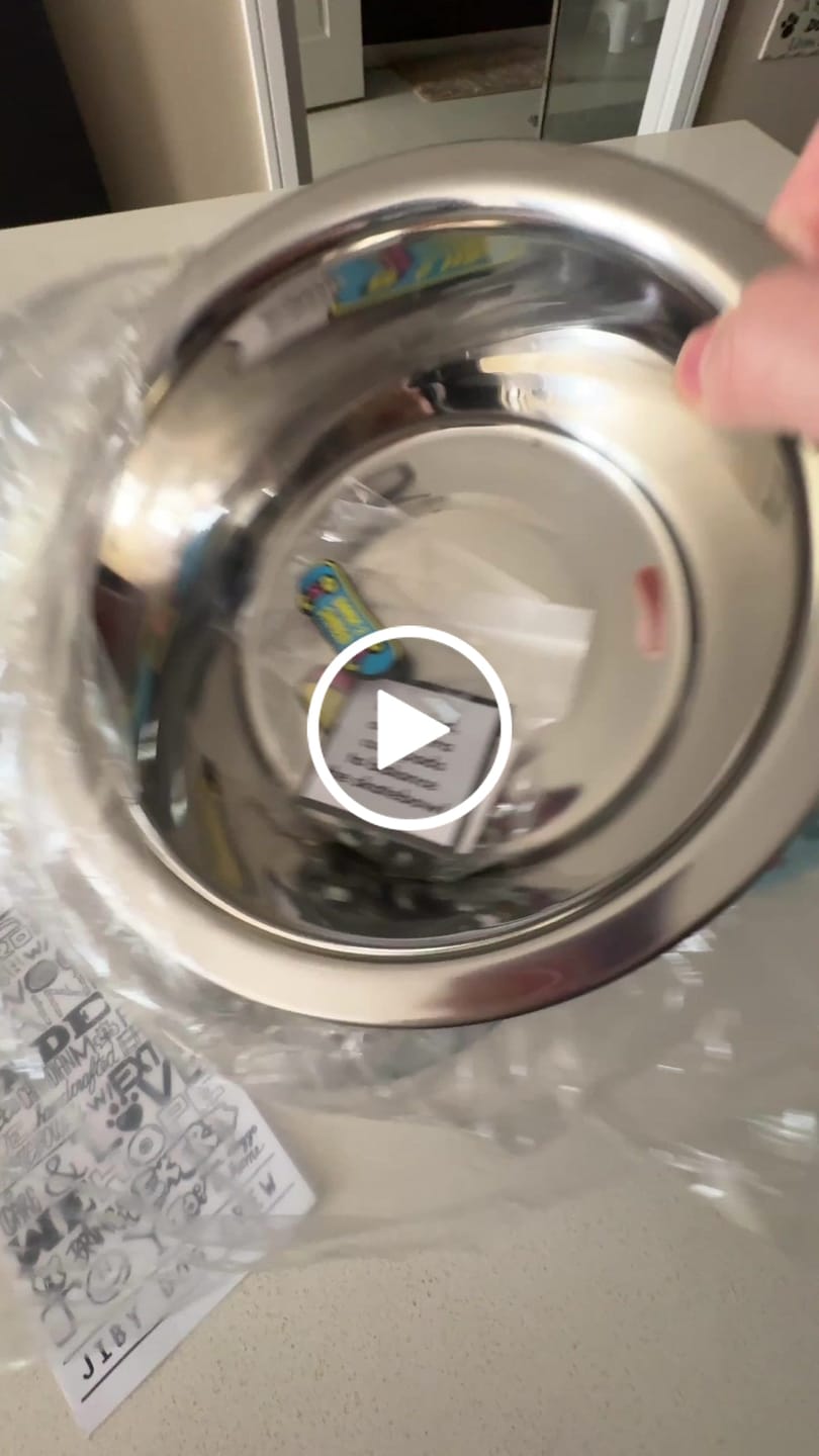Customer video review of Doodle Skateboard Dog Bowl