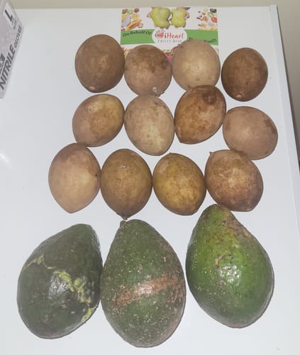 Customer photo review of Avocado