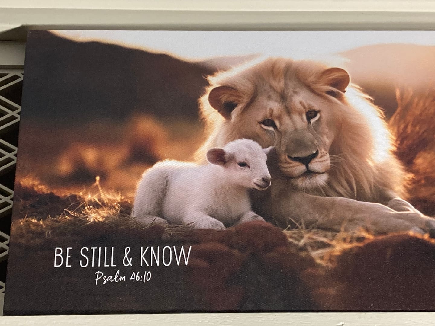 Customer photo review of Lion and Lamb, Be Still and Know Psalm 46:10, Wall Art Canvas Print
