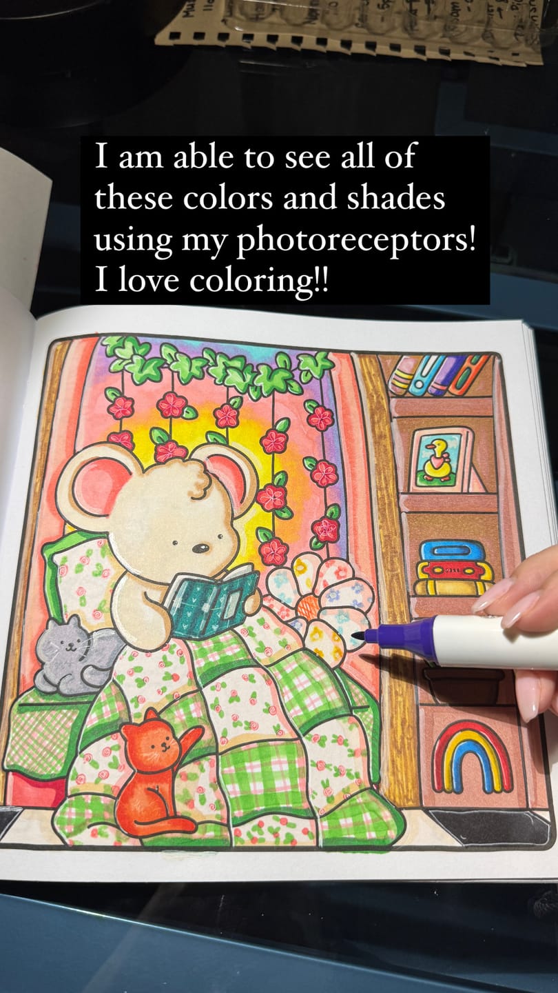 Customer photo review of Ohuhu Oahu 200 Colors Dual Tips Alcohol Art Markers, Fine & Chisel