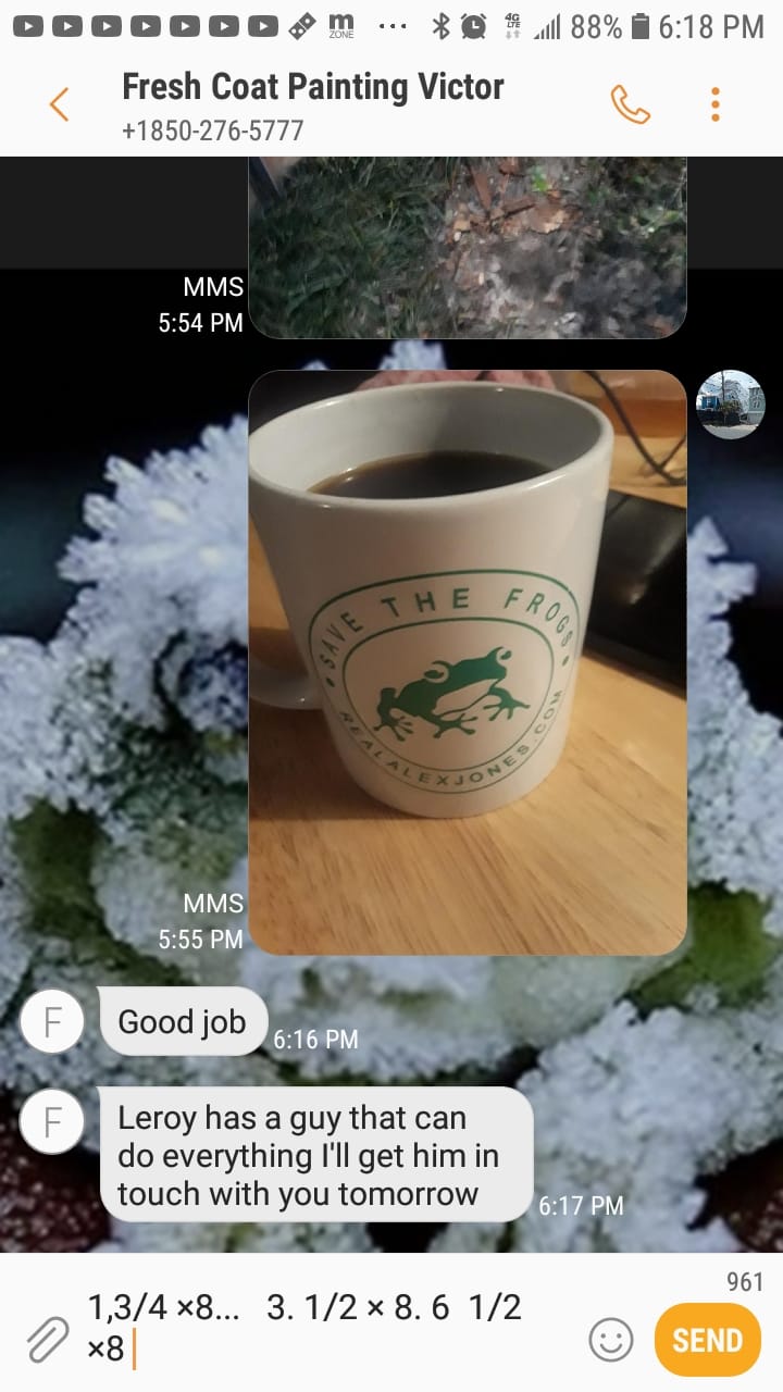 Customer photo review of Save The Frogs Coffee Mug