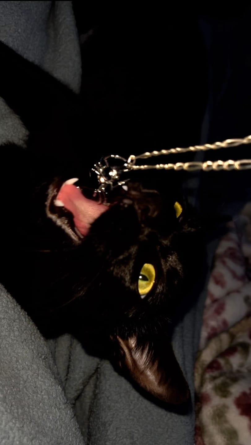 Customer photo review of SPIDER SKULL PENDANT