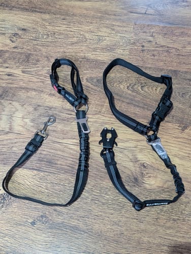 Liam P. review of Headrest Car Seatbelt Safety Travel Accessory image 1 out of 3