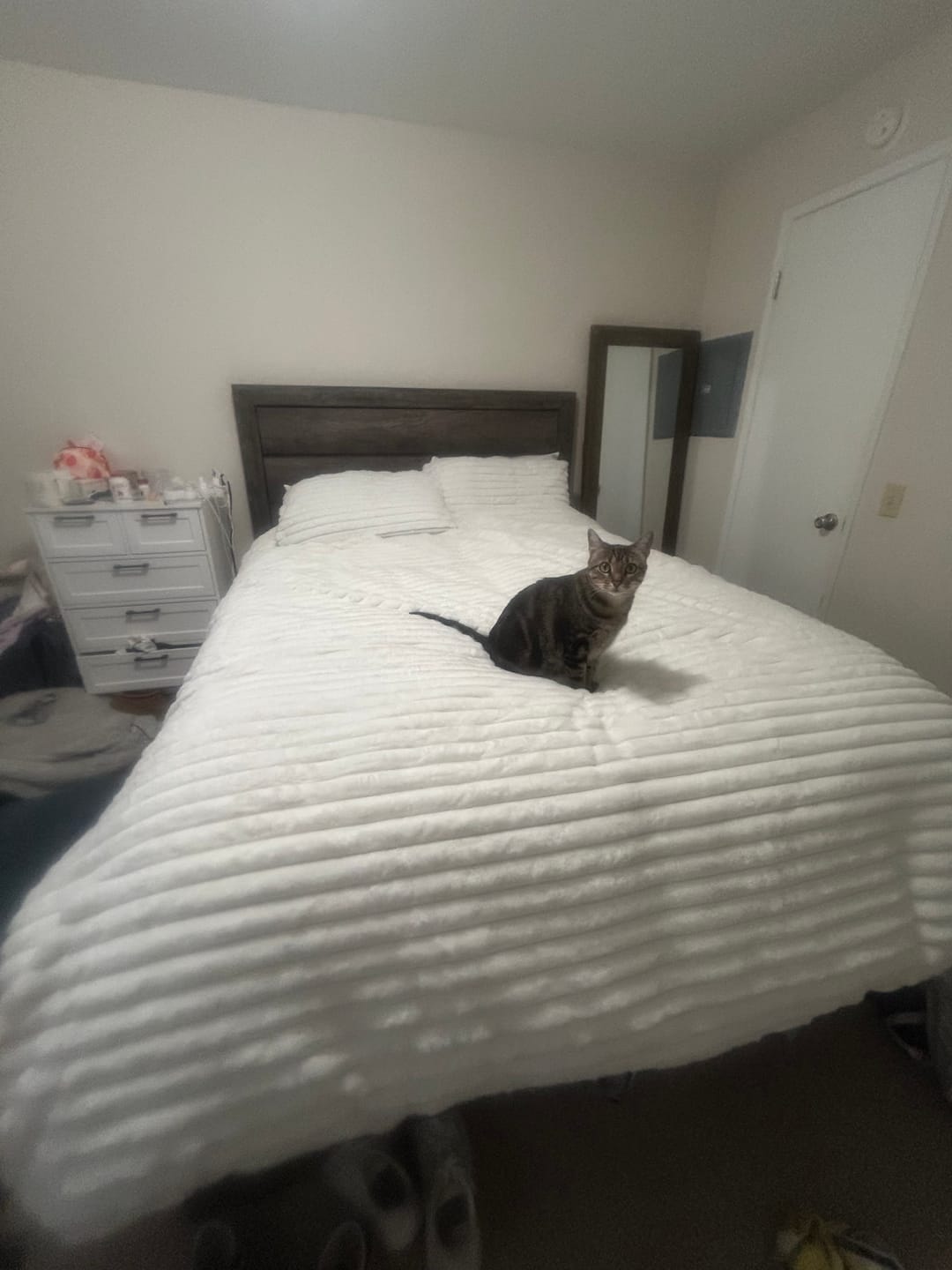 Customer photo review of The Ultra-Poof Comforter, By SĀNTI