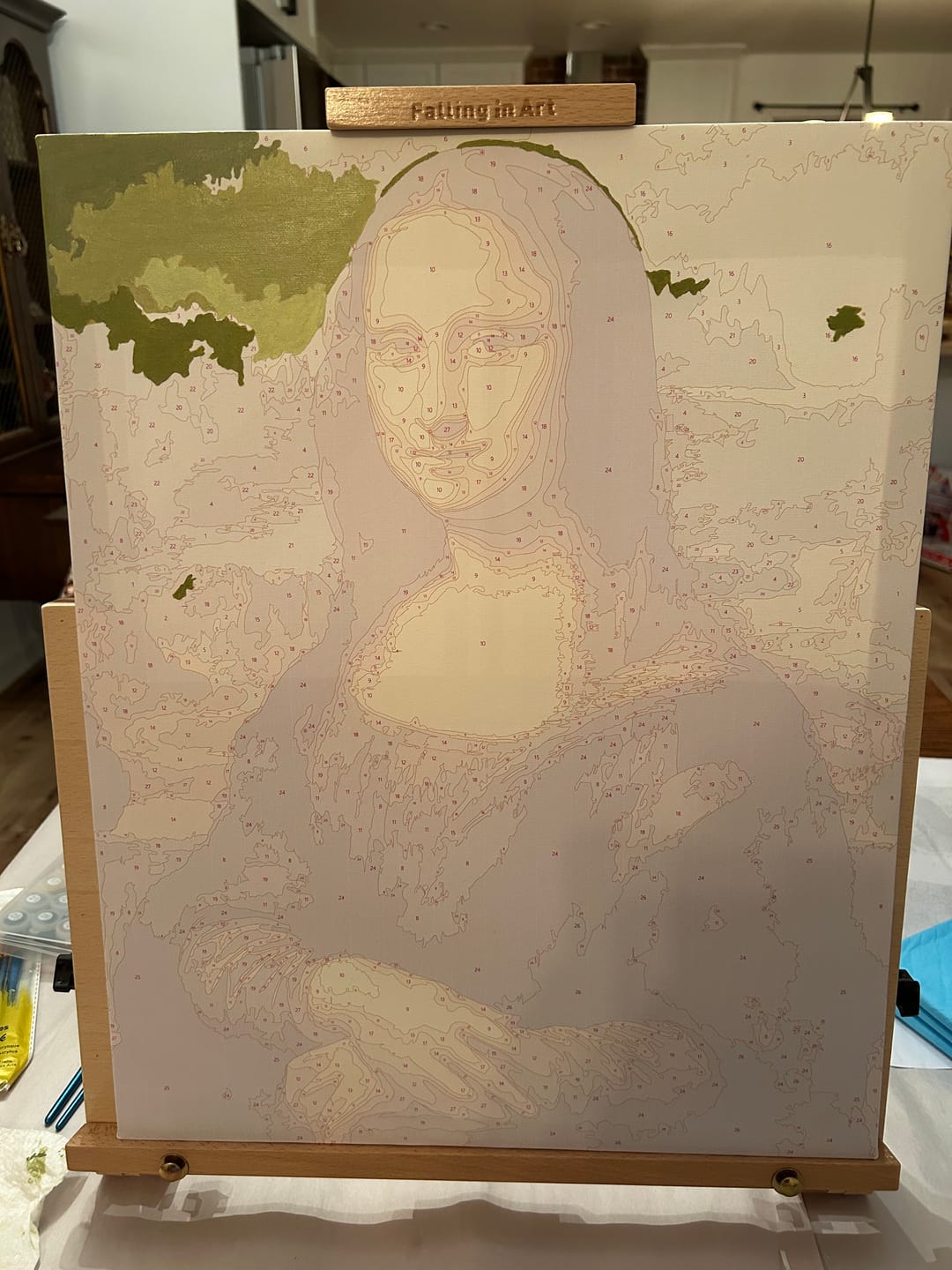 Customer photo review of Extra Paint Kit to Elevate Paint by Numbers Experience