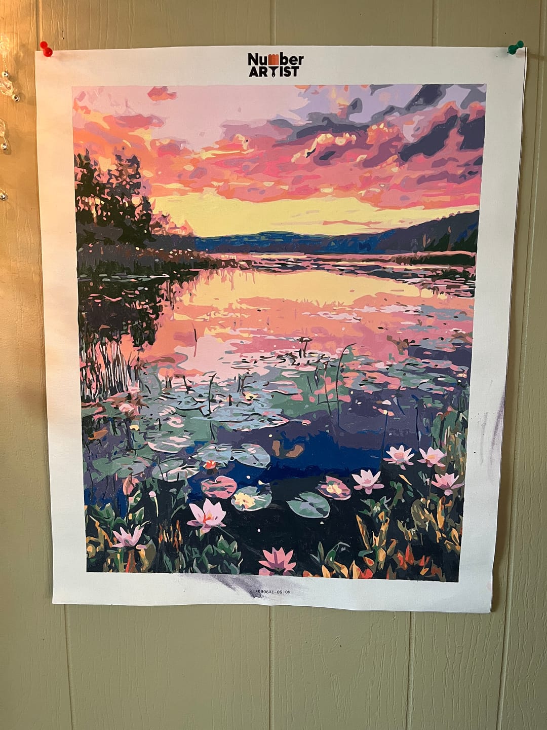 Customer photo review of Lily Sunset