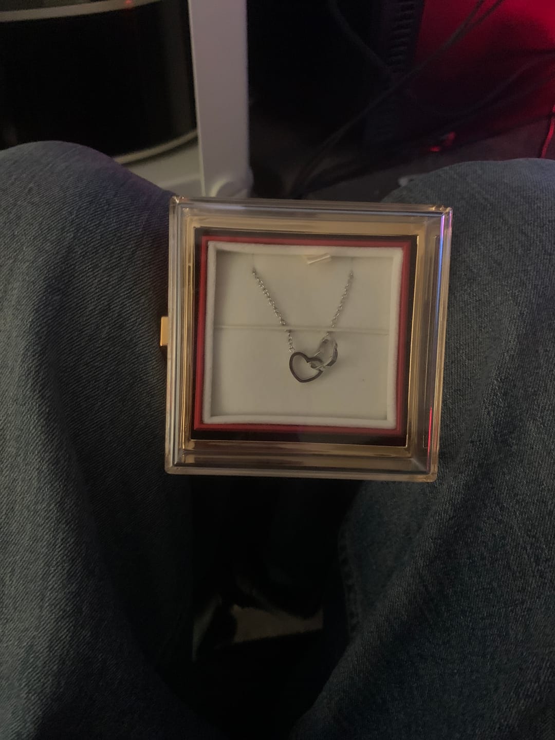 Customer photo review of Double Heart Necklace