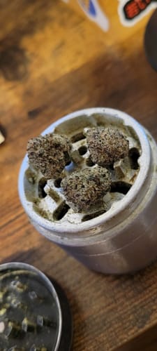 Customer photo review of Purple Push Pop