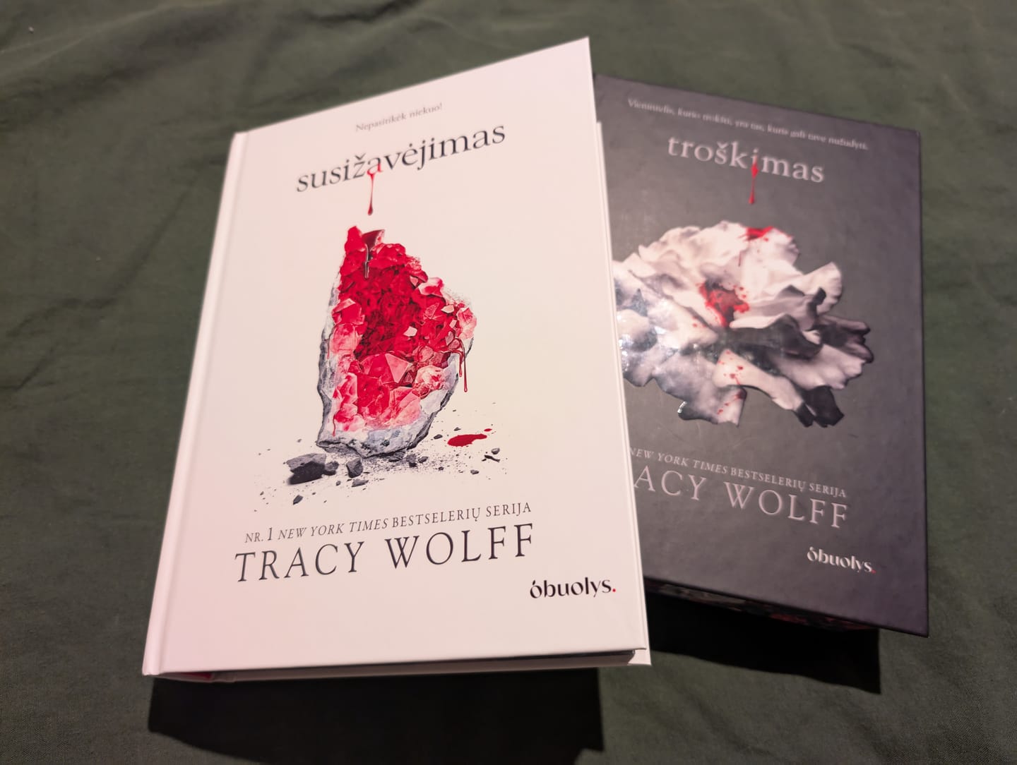 Customer photo review of Susižavėjimas: Nr. 1 New York Times bestselerių serijos troškimas 2-oji dalis