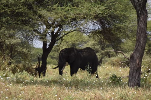 Customer photo review of Fototapete