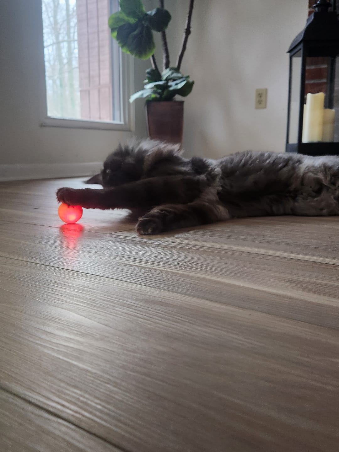 Customer photo review of Power Ball 3