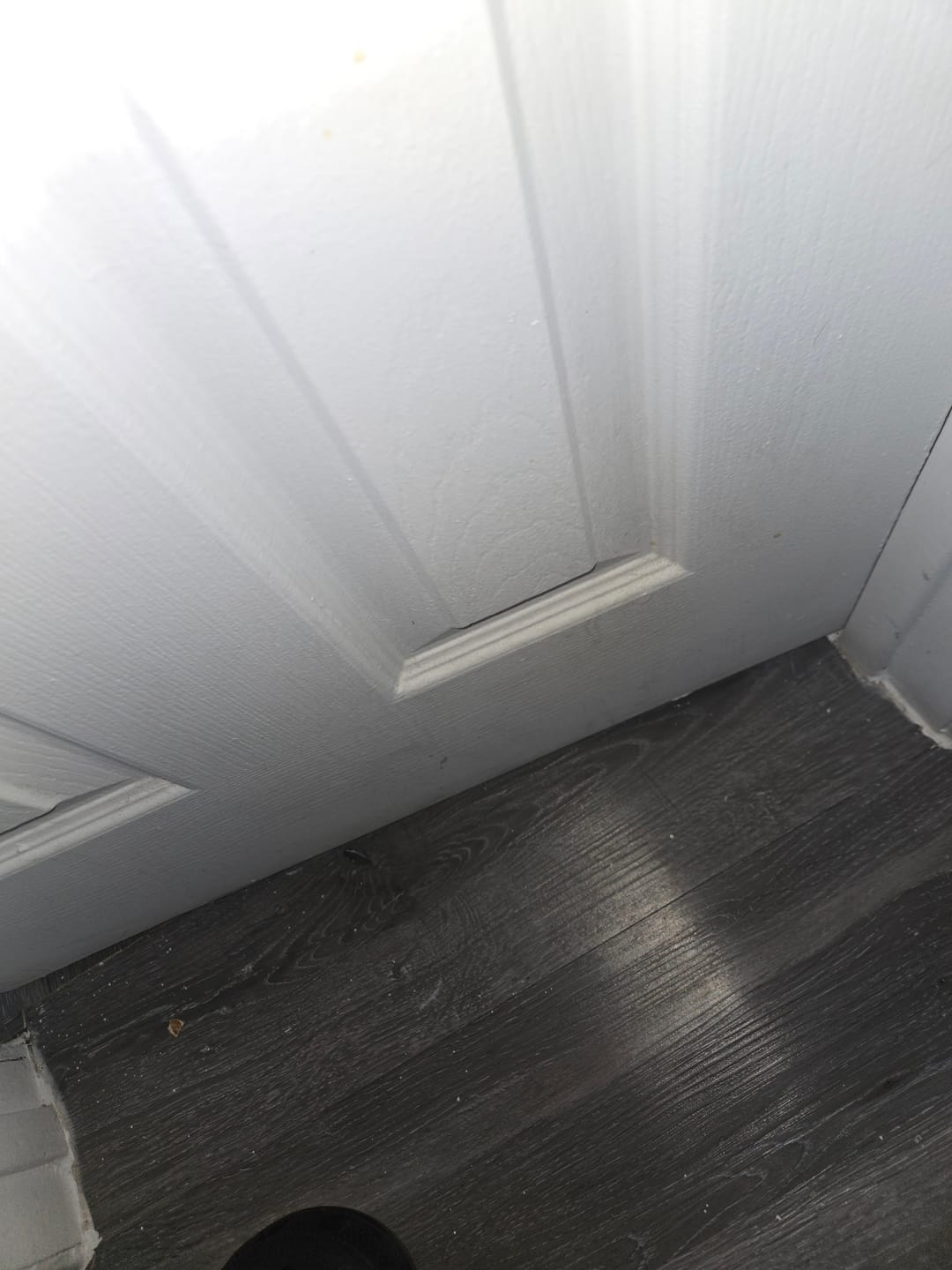 Customer photo review of Puffco Peak Pro- Now with 3D Xl 20% OFF Sale